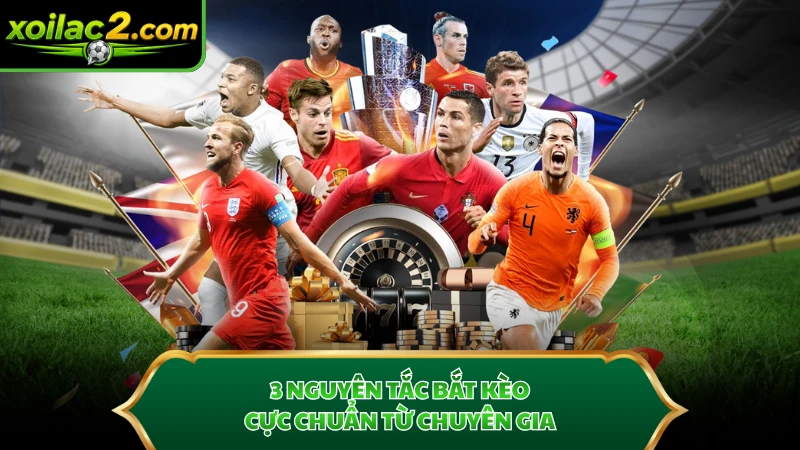 3 nguyên tắc bắt kèo cực chuẩn từ chuyên gia