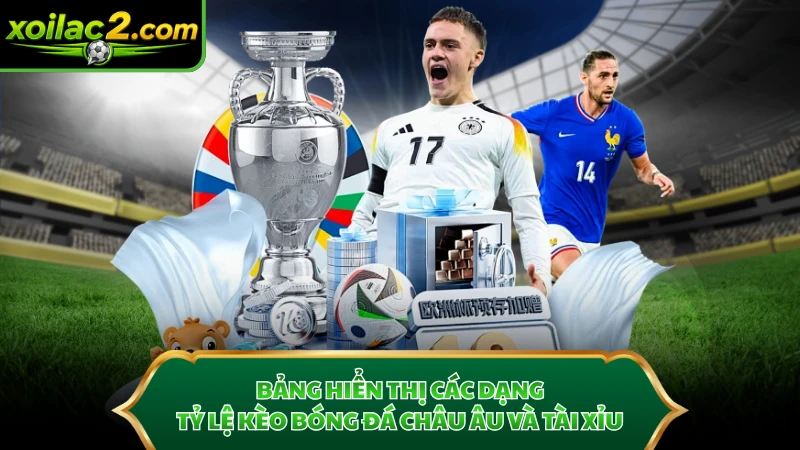 Bảng hiển thị các dạng tỷ lệ kèo bóng đá Châu Âu và Tài Xỉu.