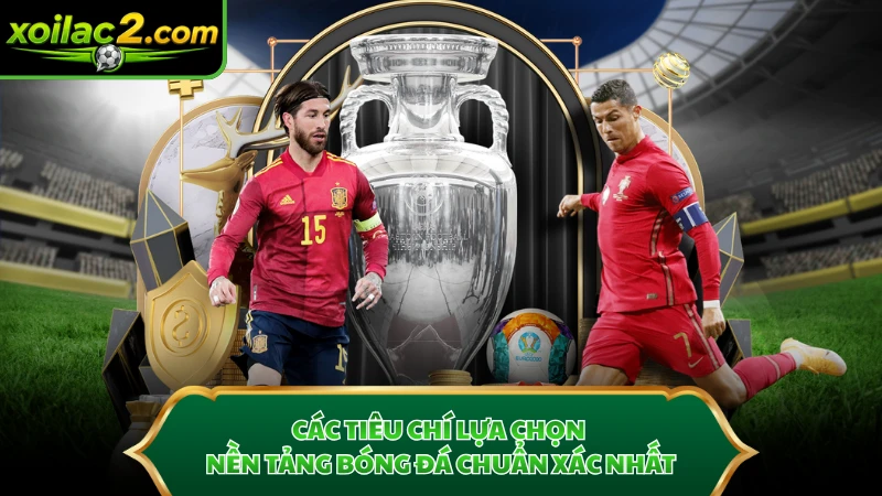 Các tiêu chí lựa chọn nền tảng bóng đá chuẩn xác nhất