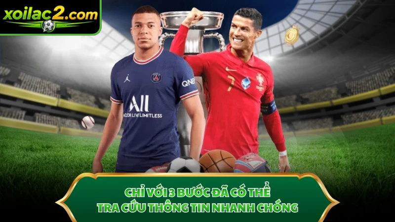Chỉ với 3 bước đã có thể tra cứu thông tin nhanh chóng