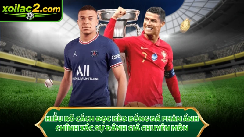 Hiểu rõ cách đọc kèo bóng đá phản ánh chính xác sự đánh giá chuyên môn