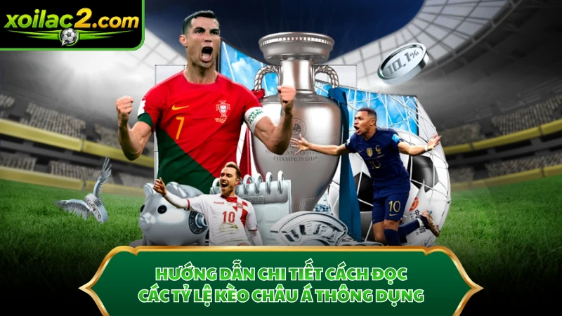 Hướng dẫn chi tiết cách đọc các tỷ lệ kèo Châu Á thông dụng.