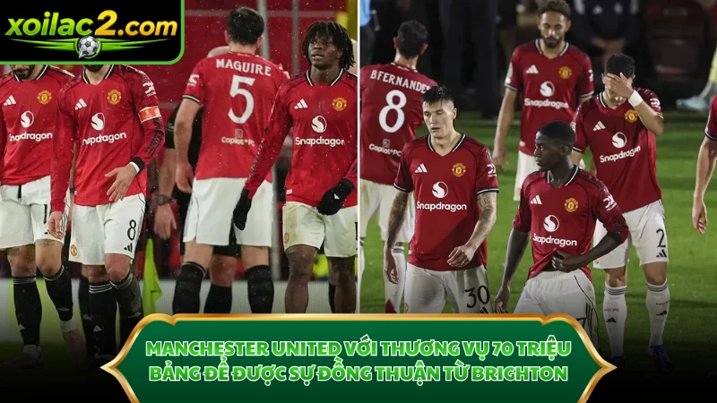 Manchester United với thương vụ 70 triệu bảng để được sự đồng thuận từ Brighton